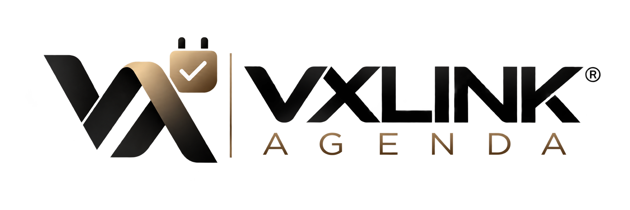 VXLINK Agenda